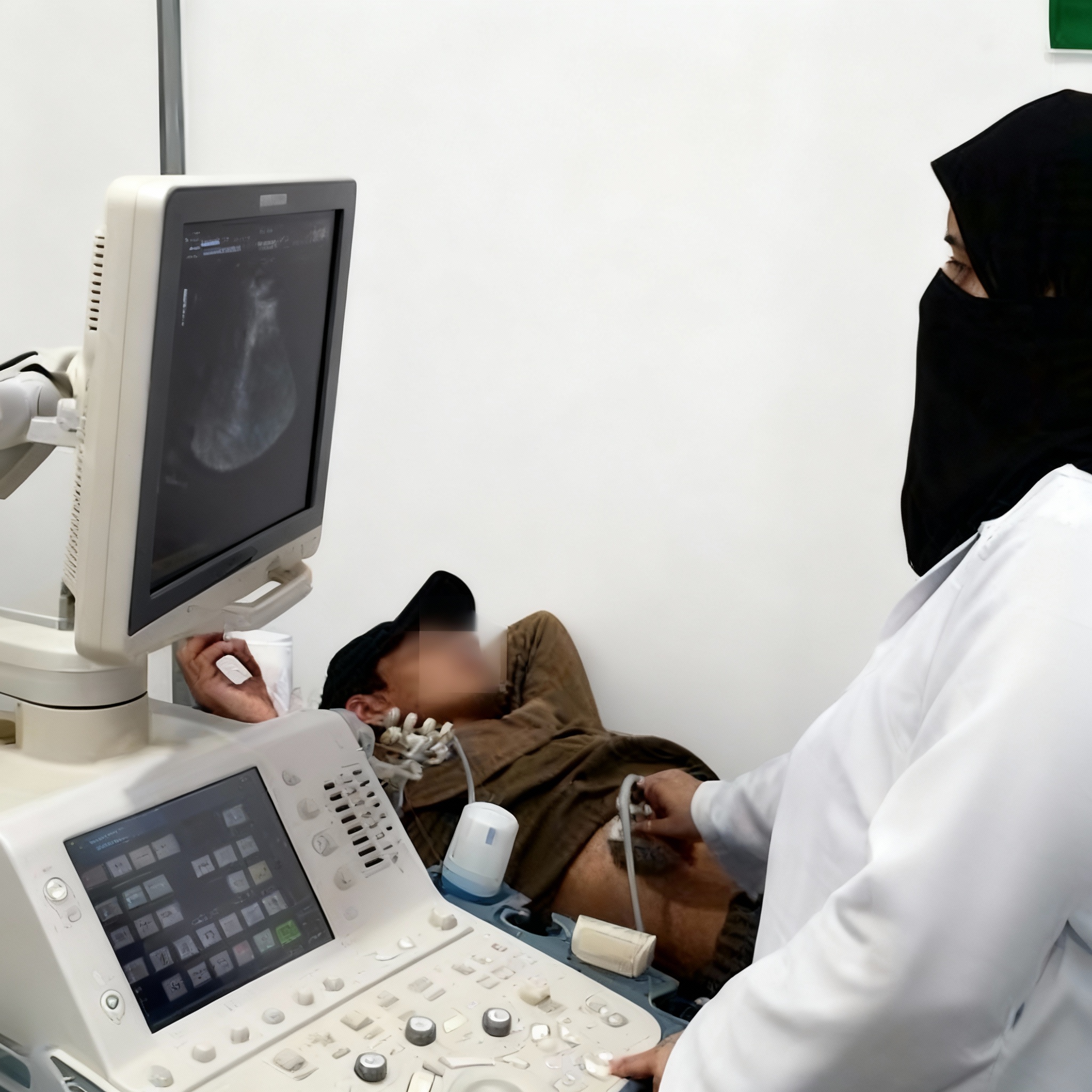 Dr. Hafiza Habiba Mubarik